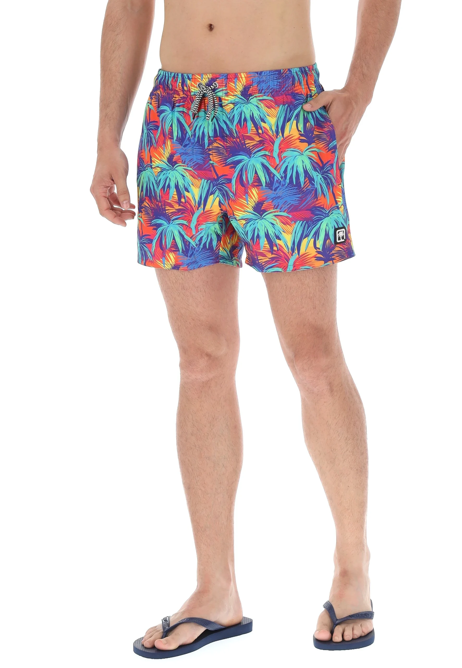 Boxer mare Bellonda in fantasia palme