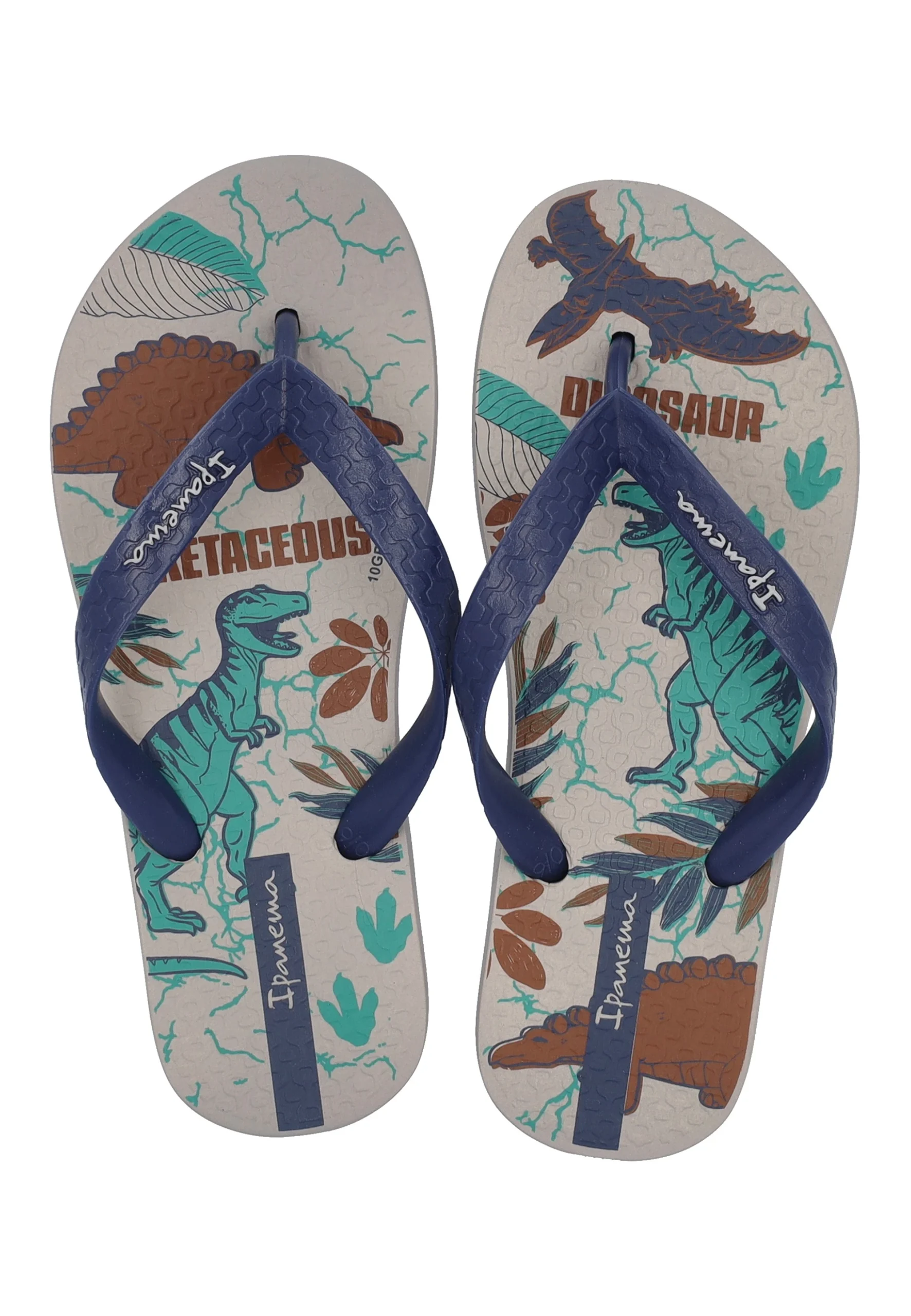 Infradito Ipanema Temas XV Kids art.83609 AZ064