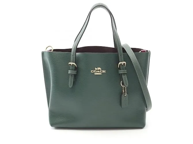 Borsa in pelle Coach MOLLIE TOTE 25 Verde