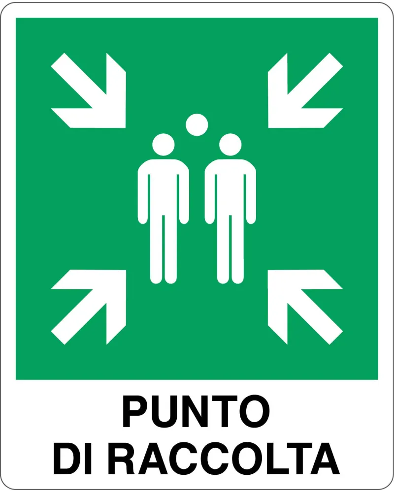Cartello All. Punto Di Raccolta
